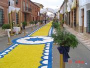 C/ Ranas.      Corpus